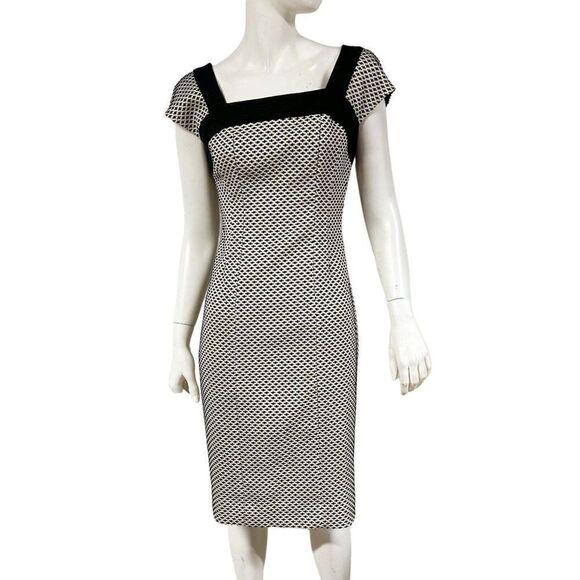 Anthropologie HD in Paris Enid Sheath Dress In Swiss Dot Womens Size 4 - Picture 1 of 9